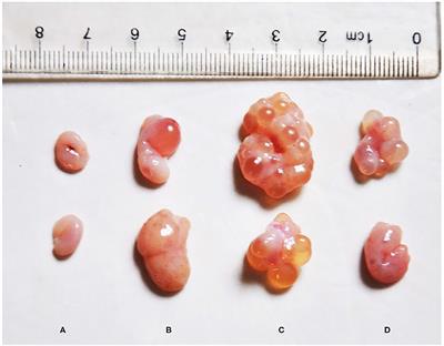 Dose-Effect of Zearalenone on the Localization and Expression of Growth Hormone, Growth Hormone Receptor, and Heat Shock Protein 70 in the Ovaries of Post-weaning Gilts